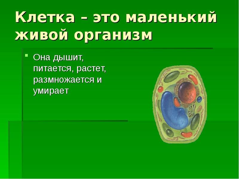 Рисунок взят из интернета... 