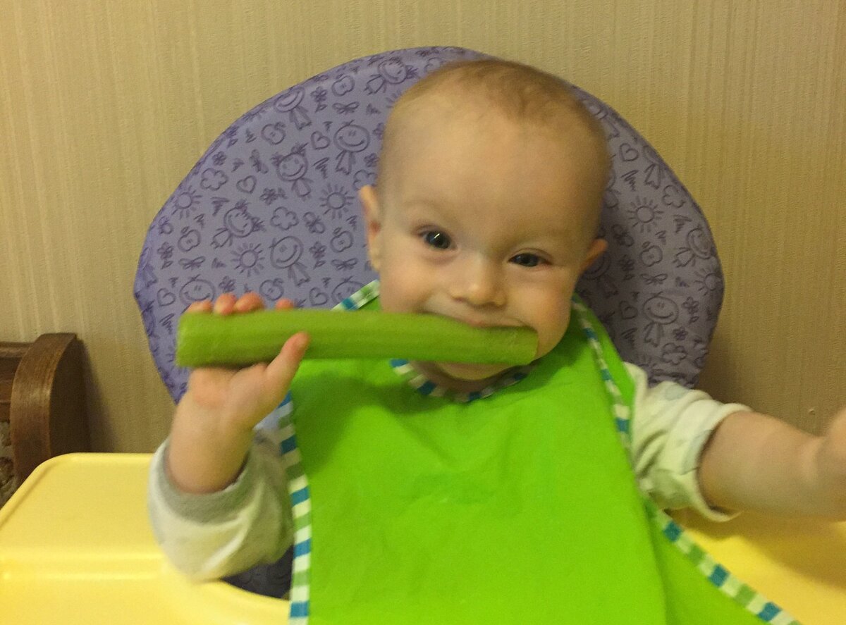 От адекватности питания ребенка на первом году жизни зависит состояние его здоровья не только в течение этого периода времени, но и на протяжении всей его жизни. Моя дочь Алеся в 7 месяцев - хитрый глаз, острый зуб)))