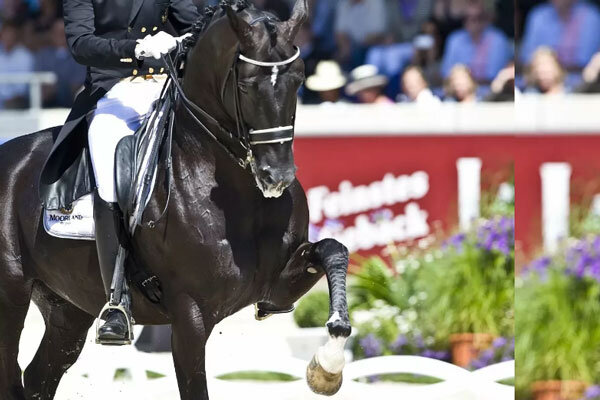 Источник фото сервис Яндекс.Картинки