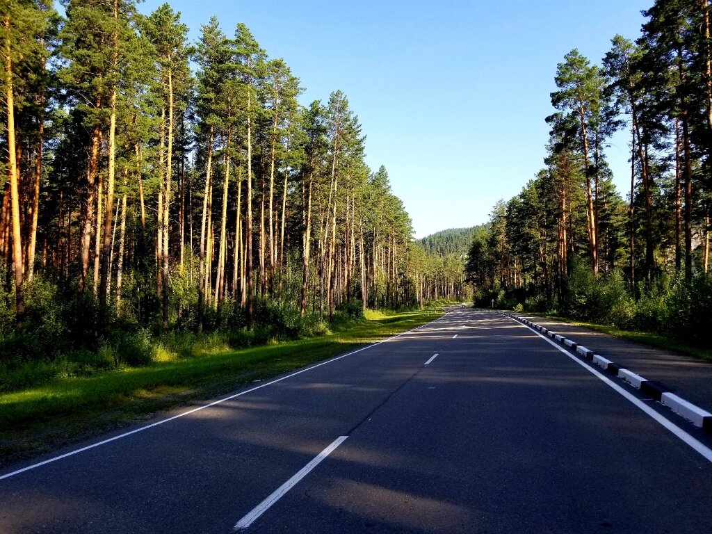 Дорого в Алтайском крае.