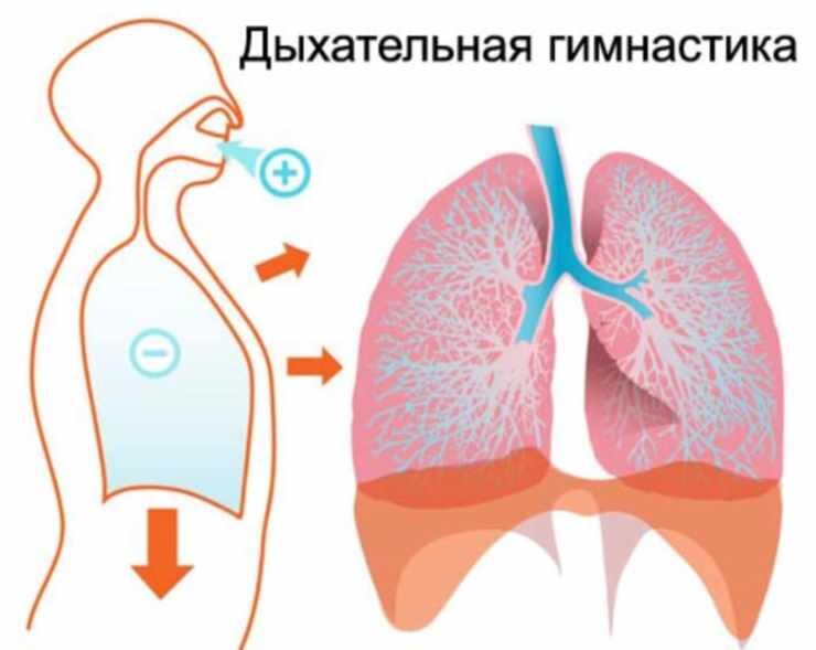 Дыхательная при пневмонии у взрослых дома. Дыхательные практики при бронхиальной астме. Упражнения для дыхательной системы легких. Дыхание легкие. Дыхательная гимнастика для легких и бронхов.