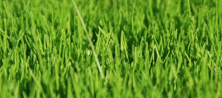 фото автора канала