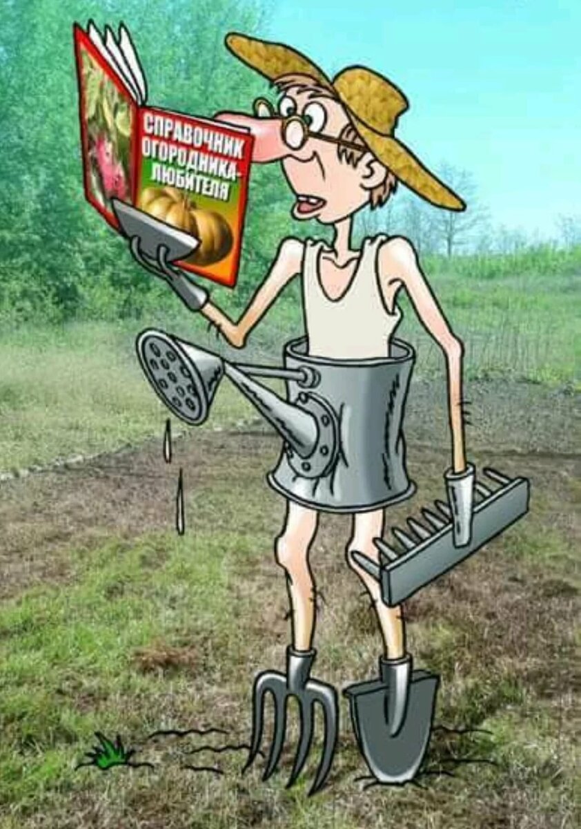 рисунок из Интернета