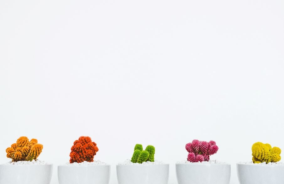 "Женская психология, астрология, цвет"