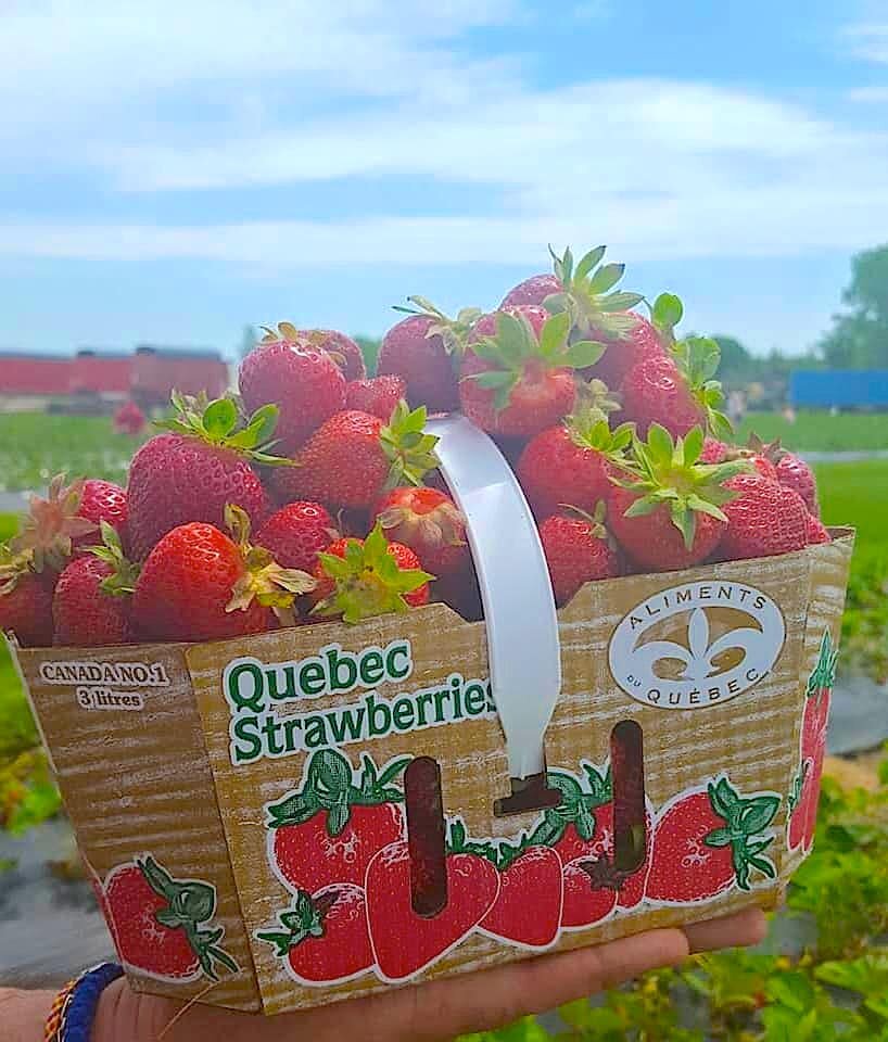 Вкуснотища!!! 