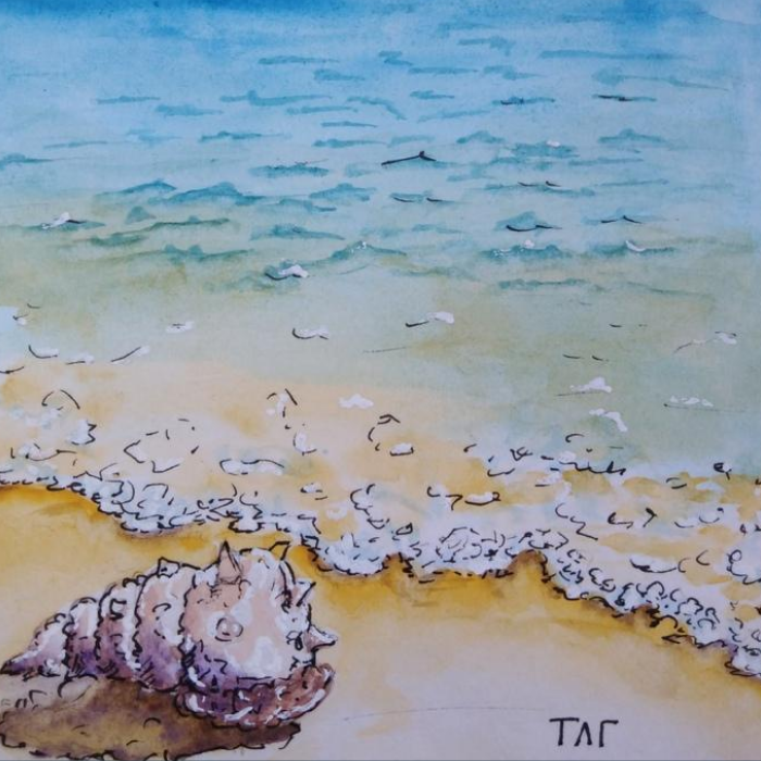 Море... прибой... ракушки...