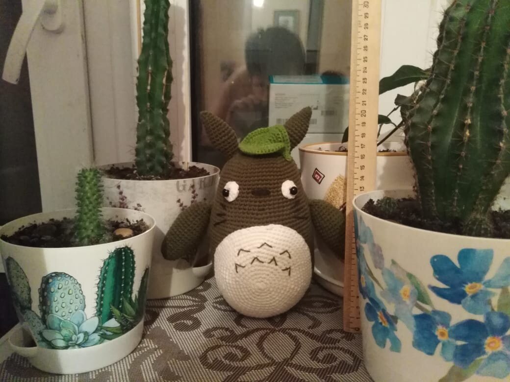 собственное фото