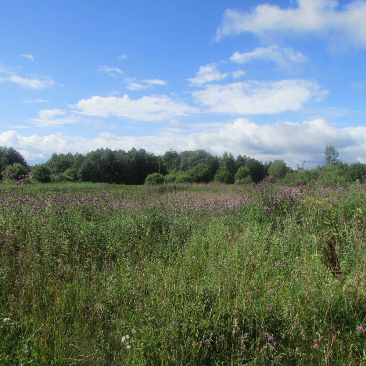 Вот такая красотища...