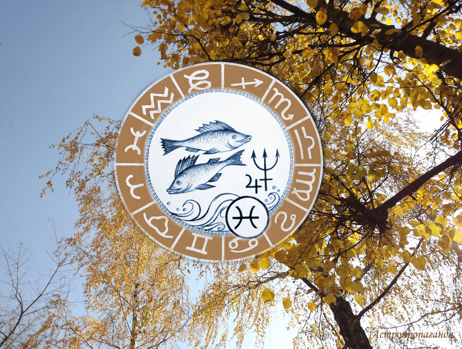 Коллаж Нины Стрелковой.