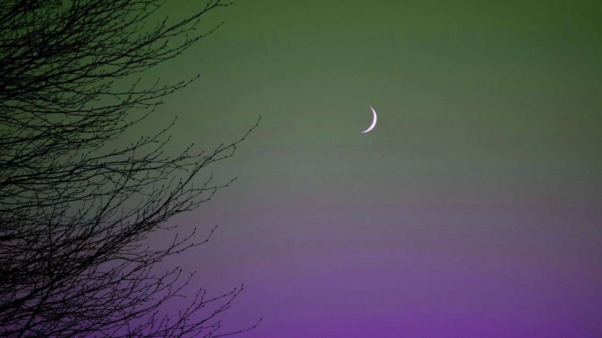 Фото: yаndеx*ru