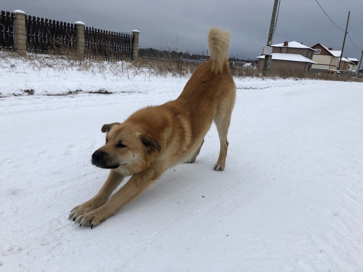 Всегда в отличном настроении))