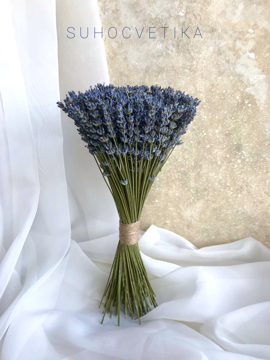 Букет из лаванды S 

