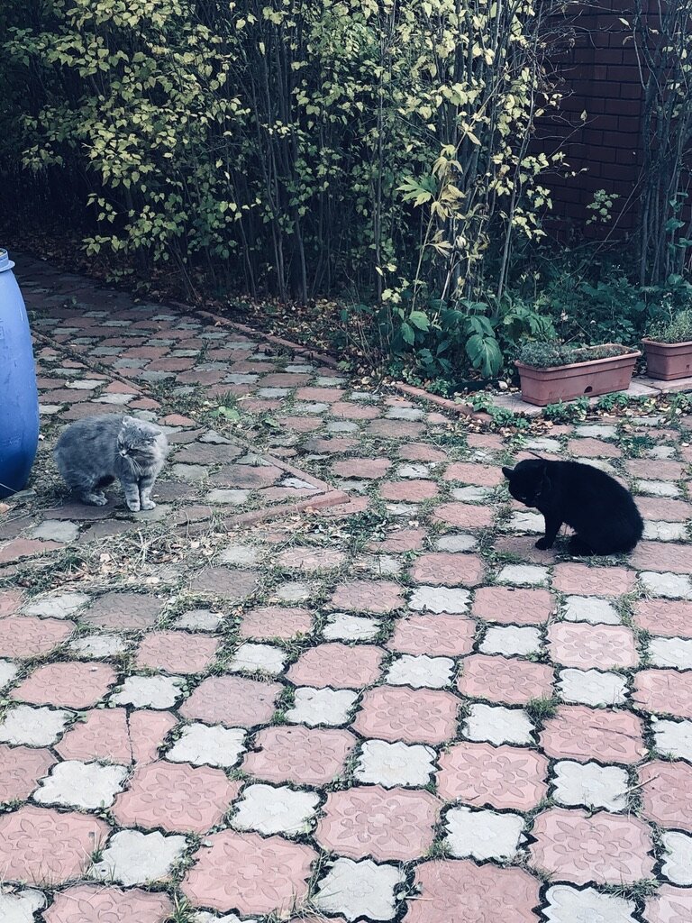 Они встретились.