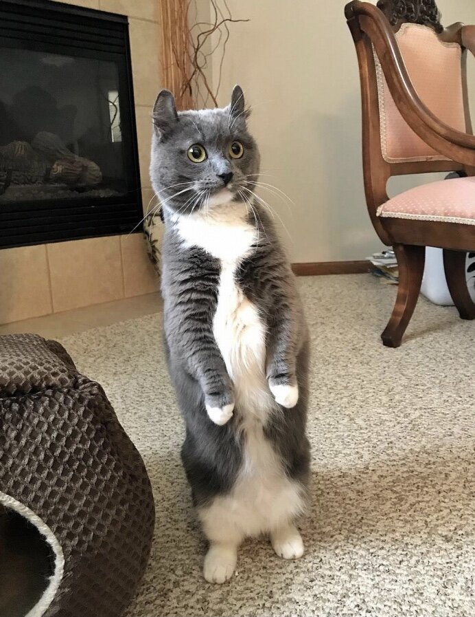 Фото с сервера Яндекс.Картинки
