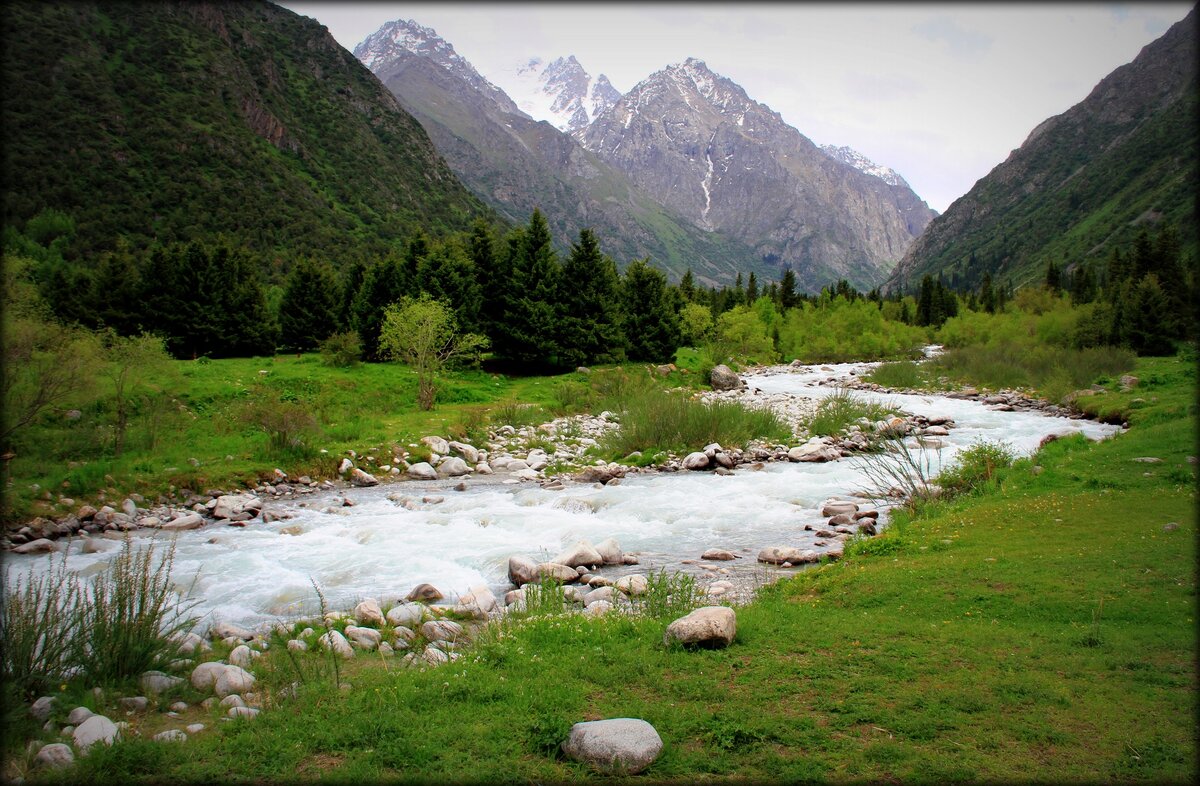 Ала арча фото. Природный парк ала-Арча. Национальный парк ала-Арча Киргизия. Заповедник ала Арча Бишкек. Ущелье ала-Арча Киргизия.