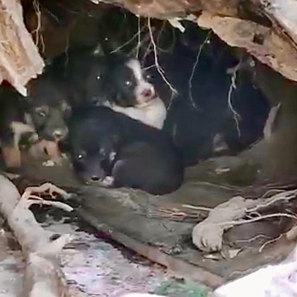 вот так нас нашли 