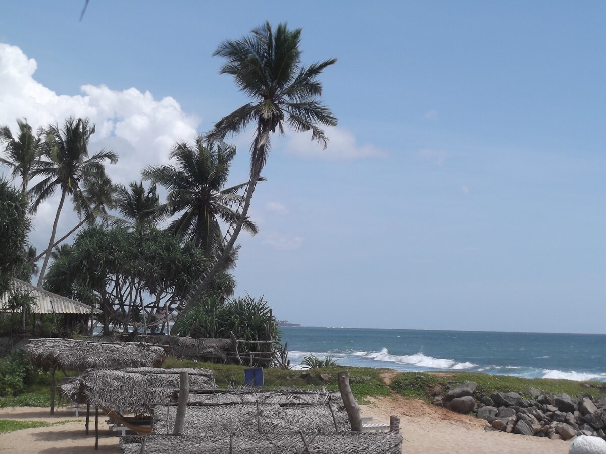 Побережье в районе Тангалле. Туристов мало, но рядом город, кафе, удобная транспортная развязка
