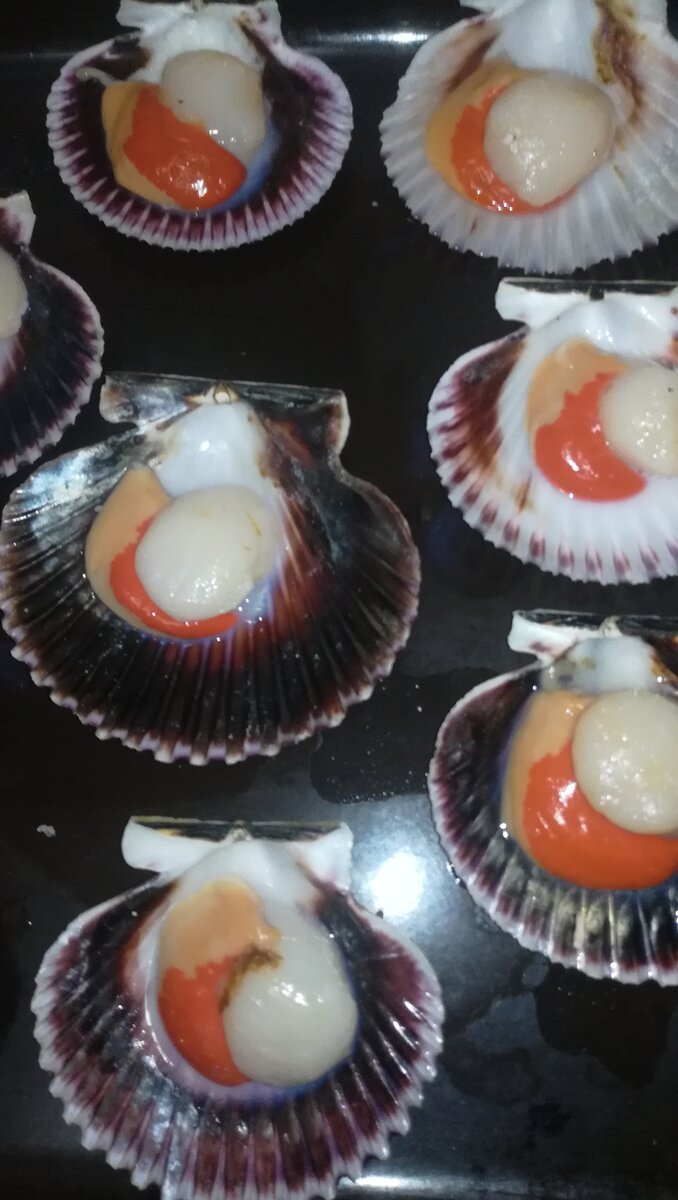 Гребешки в раковинах с икрой