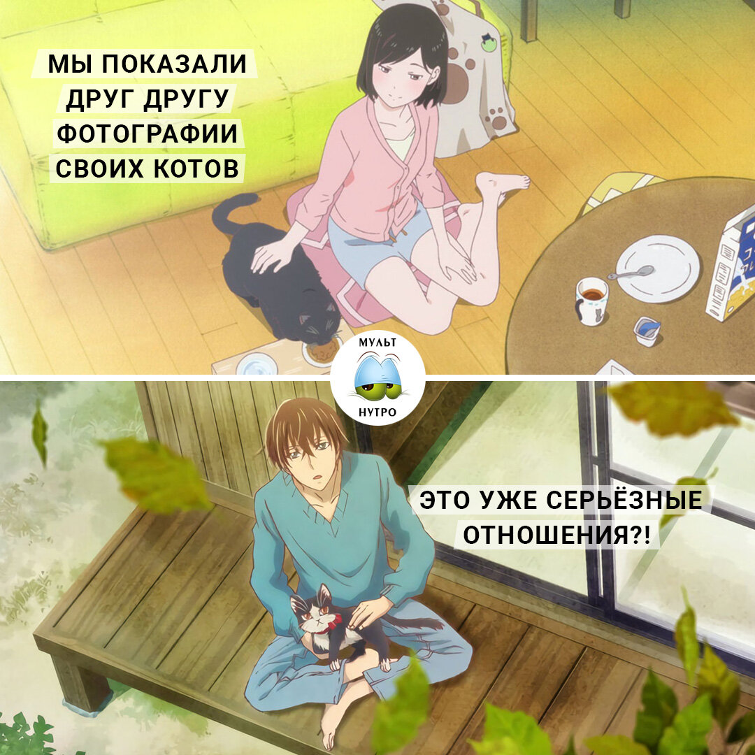 (аниме «Она и её кот» и «Домашний питомец, иногда сидящий на моей голове»)