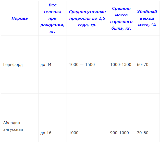 Откорм бычков на мясо: пошаговый бизнес-план, как вырастить бычка