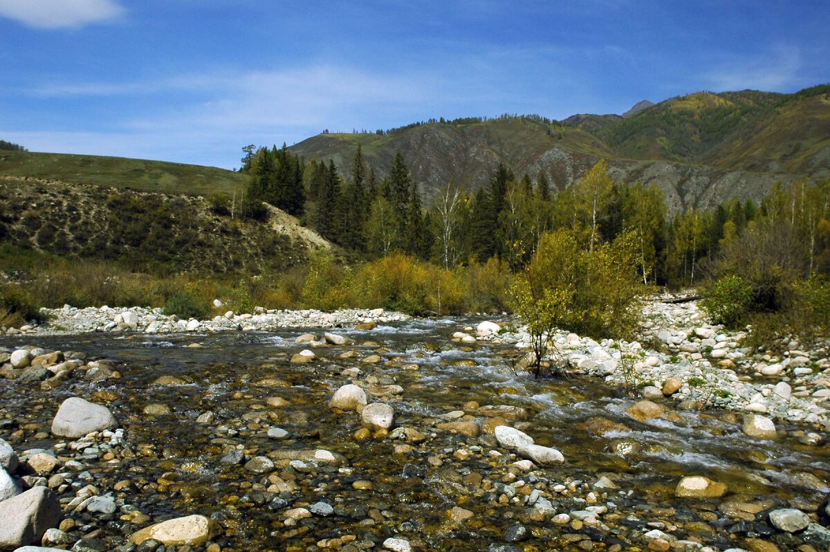 Катунь осень Усть кокса