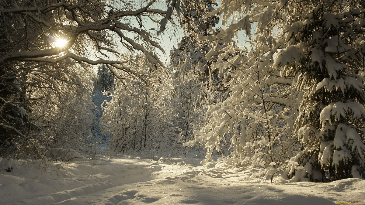 Фото из свободных источников интернет unsplash.com