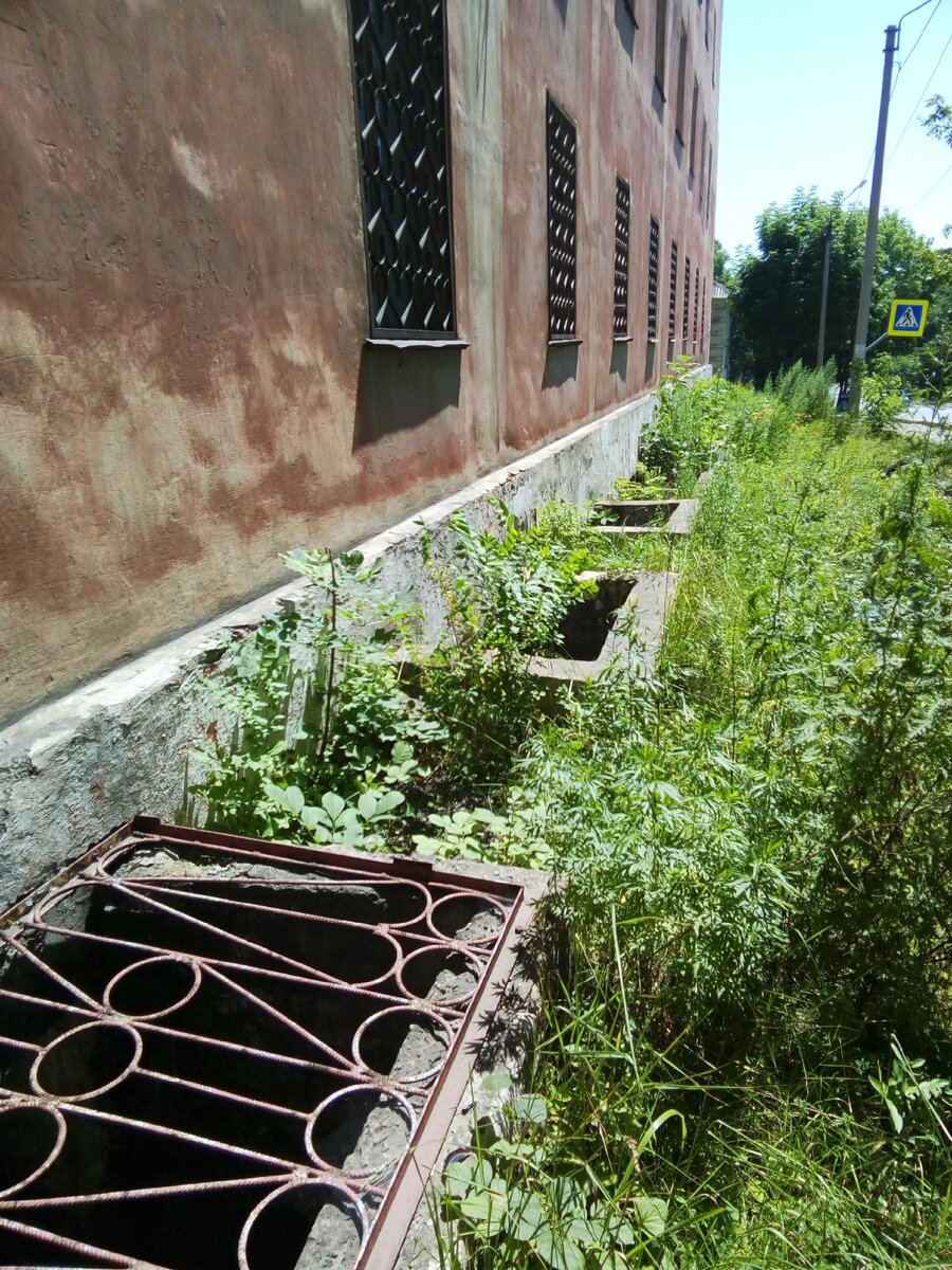 Окна у зданий уходят под землю. Чтобы земля и вода туда не попадала сделаны такие колодцы.