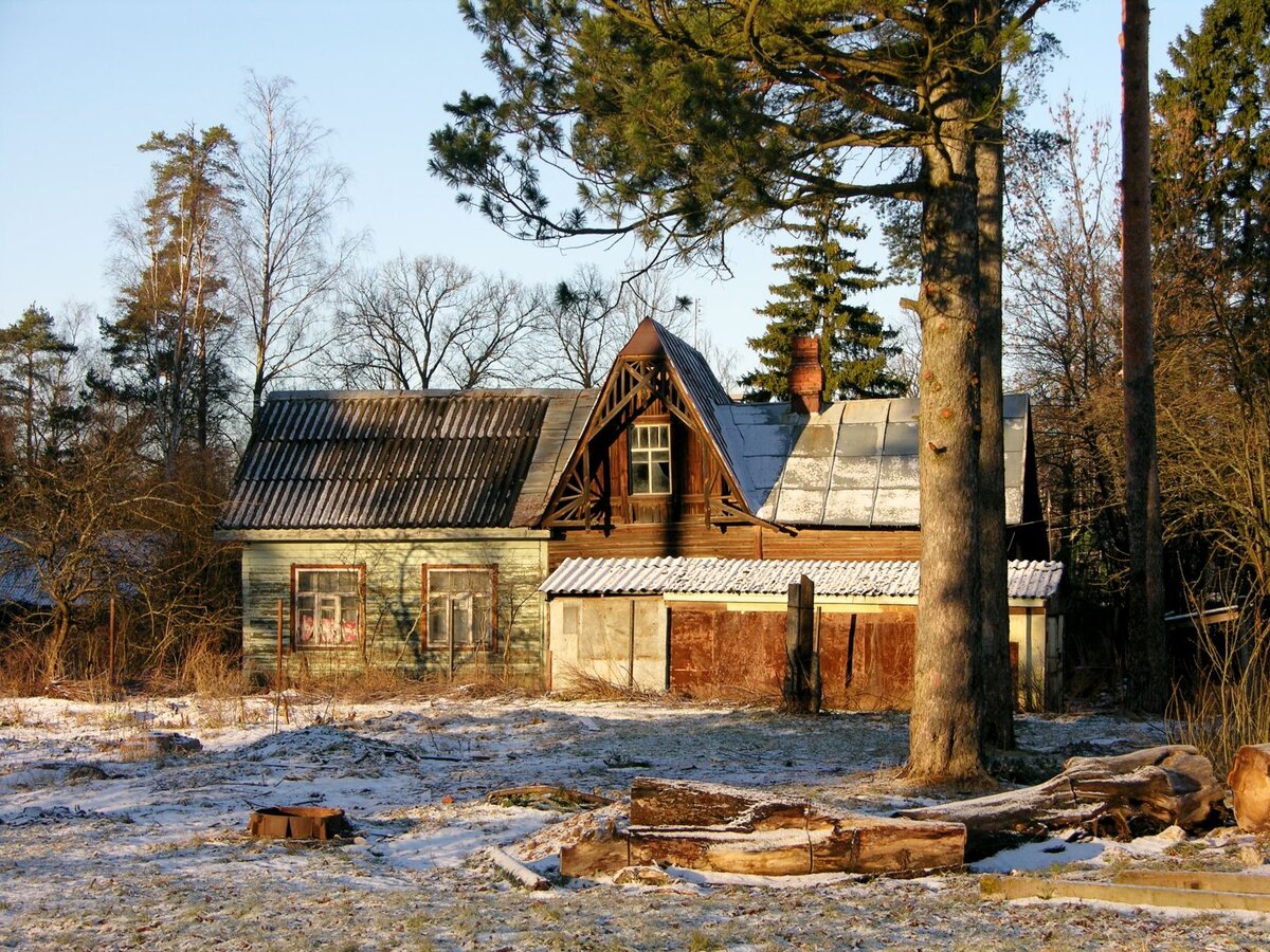 Завтра в вырице