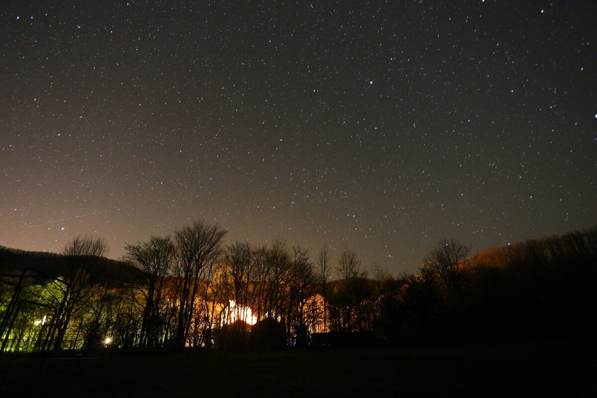 Люди сами себе устраивают проблемы — никто не заставляет их выбирать скучные профессии, жениться не на тех людях или покупать неудобные туфли. (Фаина Георгиевна Раневская)