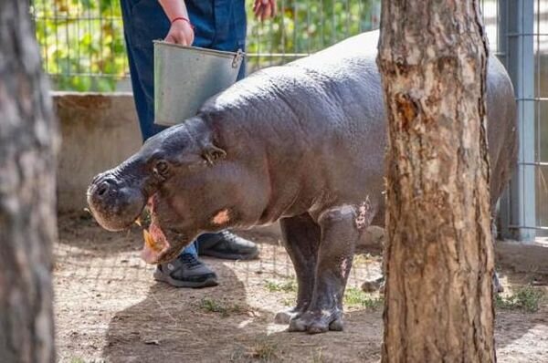 Источник фото: Don24.ru