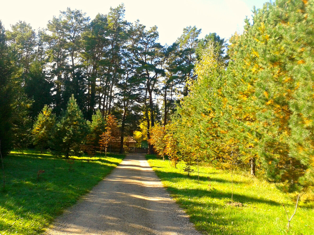 Осень в Поленово, фото автора