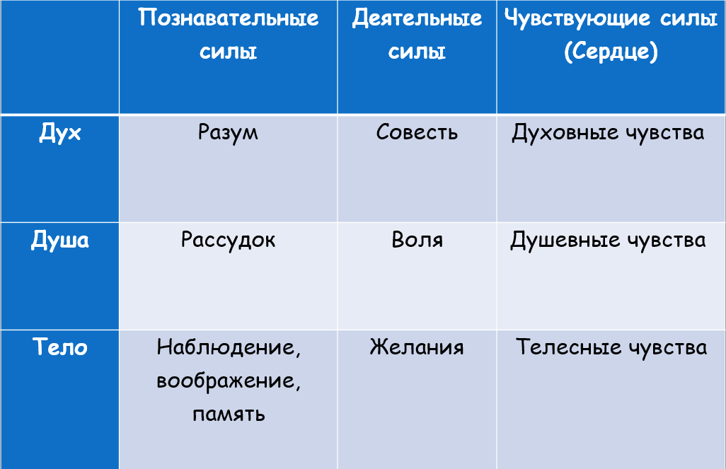 Девять сил человека  (по трудам свт. Феофана Затворника) 