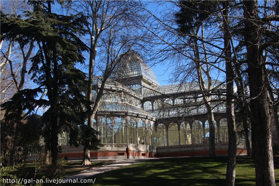 Хрустальный Дворец (Palacio De Cristal) в центре парка Ретиро в Мадриде. Фото автора. Листайте галерею, чтобы увидеть больше