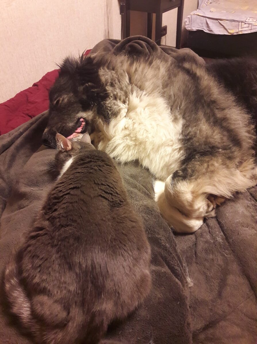 Ты хоть  и большая..но будешь делать  то что хочу Я*