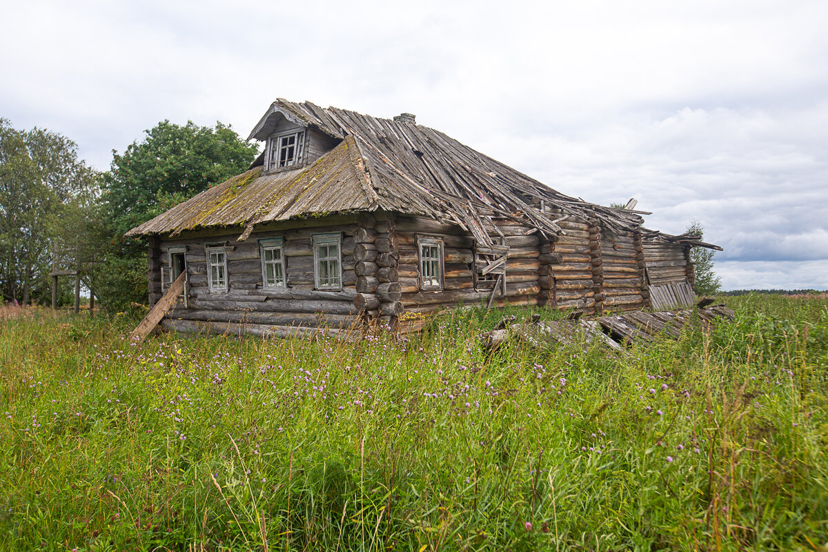 Заброшенная деревня Кучепалда. Архангельская область. Фото автора статьи 