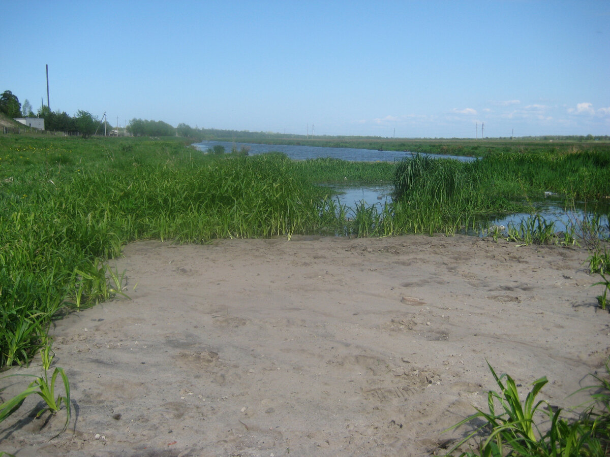 Кажется, совсем недавно такой была канава по весне