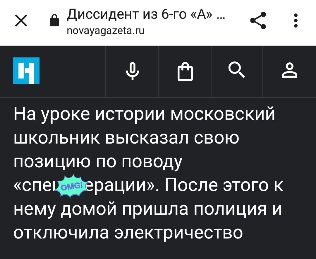 Скриншот с сайта "novayagazeta.ru"