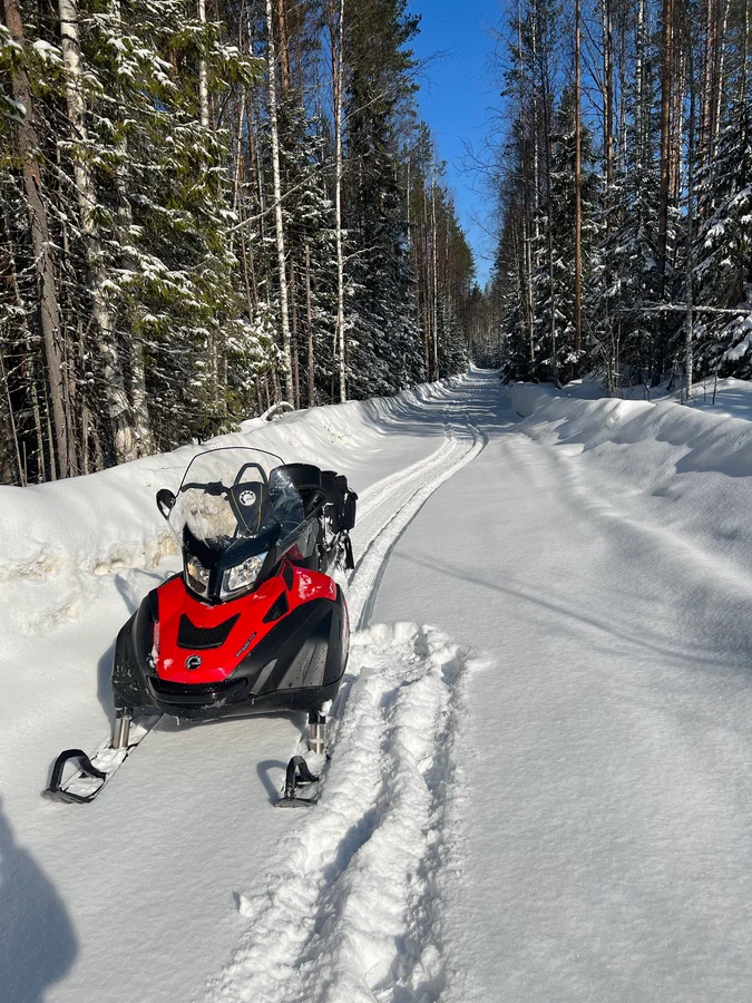 Красота и гармония - это финский Lynx в русском лесу! Источник фото - https://auto.ru/snowmobile/used/sale/brp/lynx_59_yeti_600/4190857-62466820/