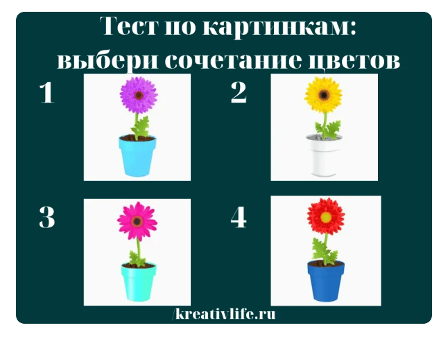 Изображение взято с открытых источников