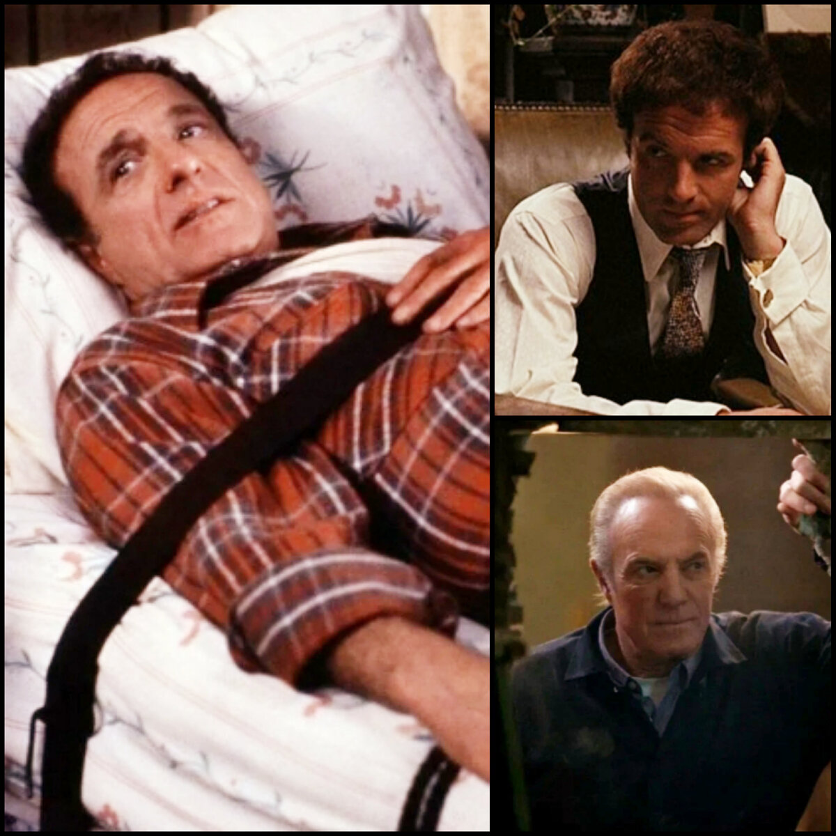 Все изображения в статье - интернет.