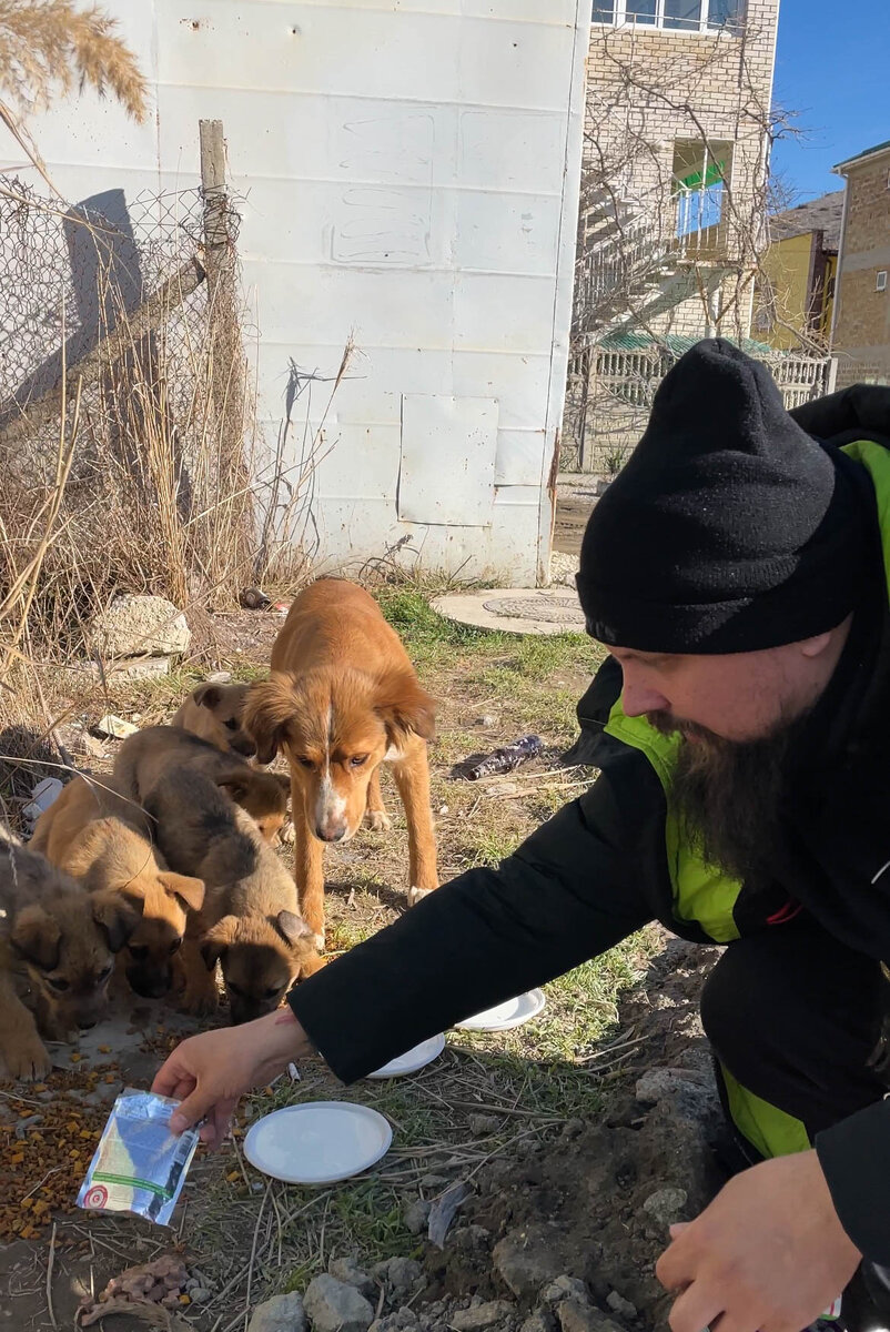 Часть сохранившихся фотографий:) Антон кормит семейство недалеко от мыса Алчак.