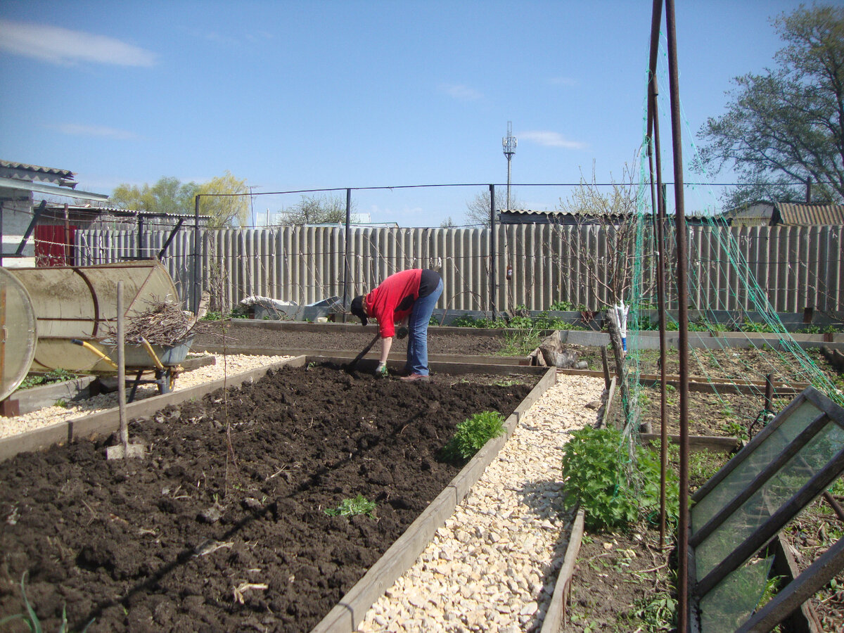 Весенняя посадка