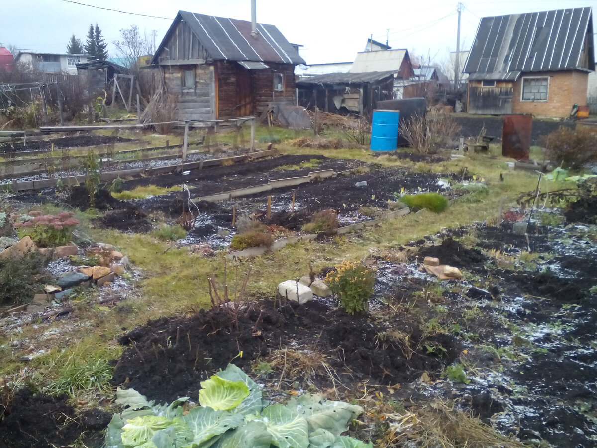 Еще можно успеть сделать гребни для картофеля на огороде. Как ускорить  прогрев и высыхание почвы в начале сезона? | Антонов сад - дача и огород |  Дзен