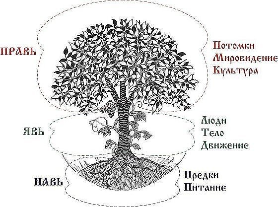 Из открытых источников интернета
