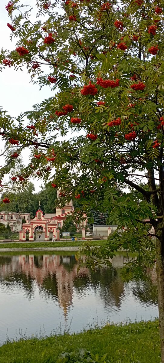 Вид на усадьбу Алтуфьево с противоположного берега пруда. Фото автора.