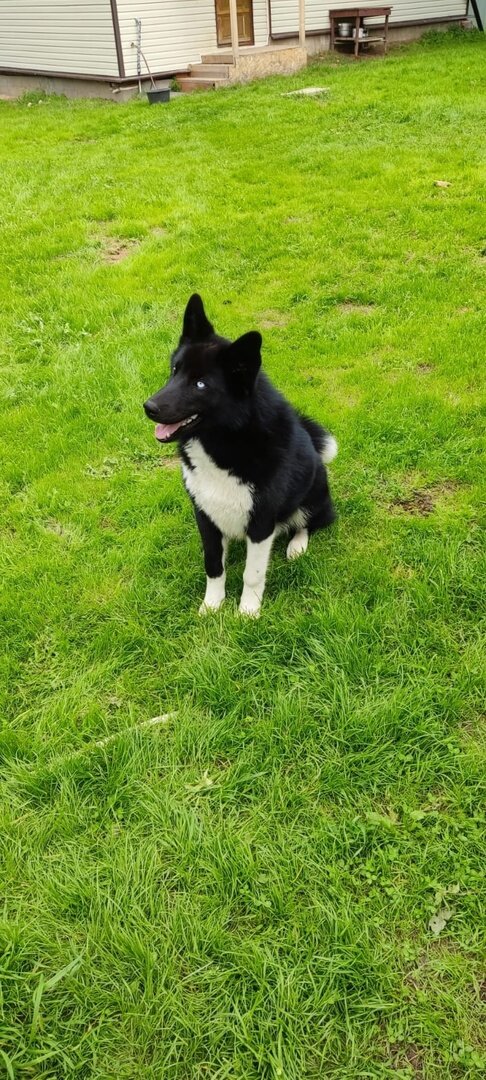 Фото Можайского приюта