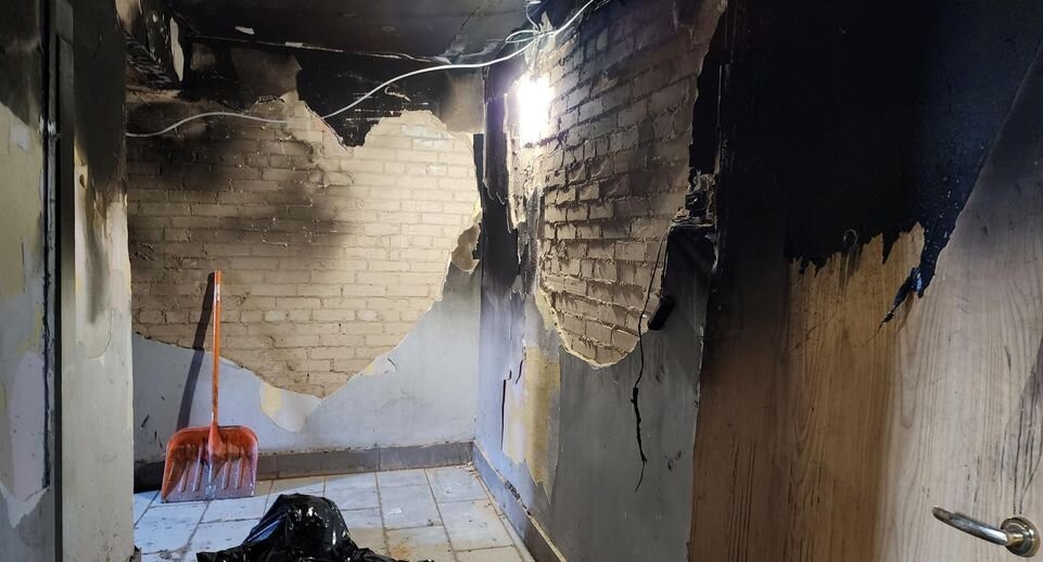 Евгений Лавряшин📷
