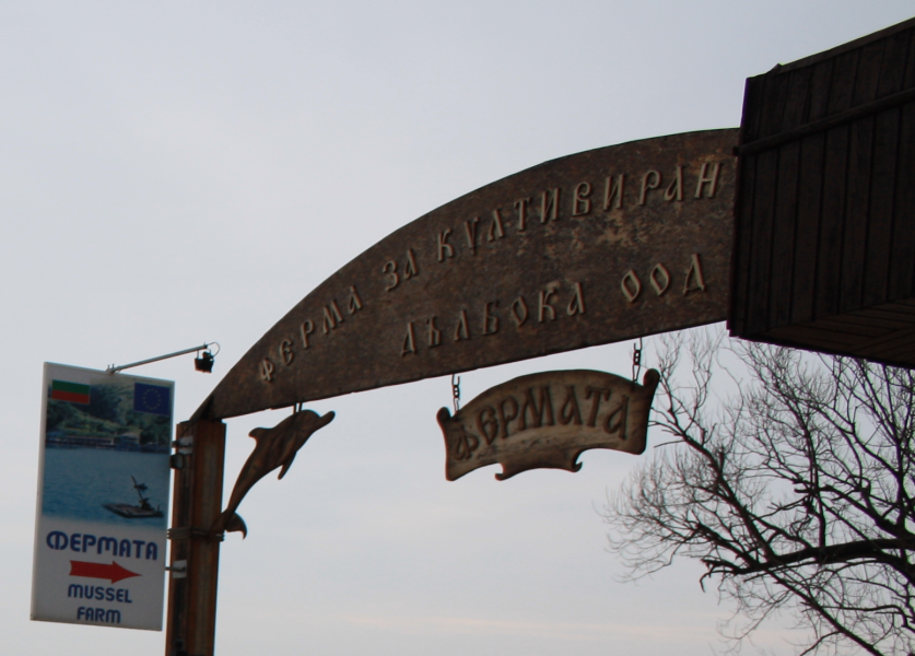 Мидиевая ферма "Дълбока".