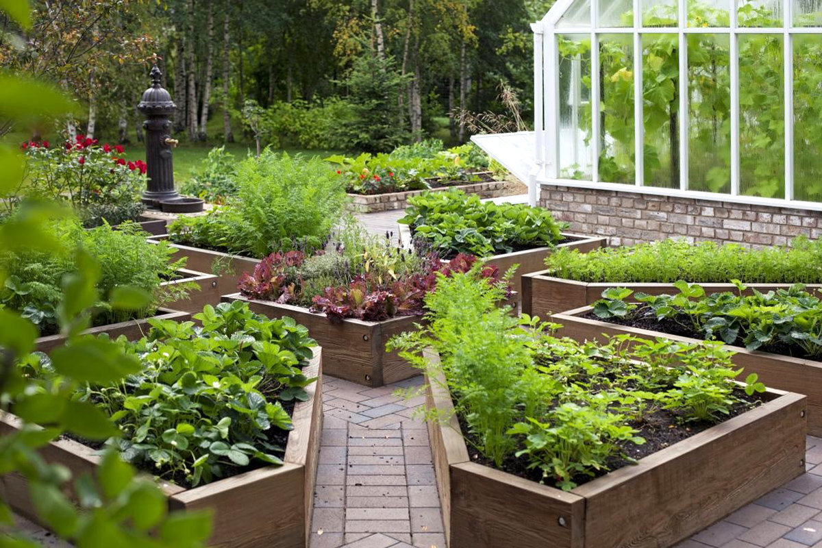 Взято с открытых источников интернета.