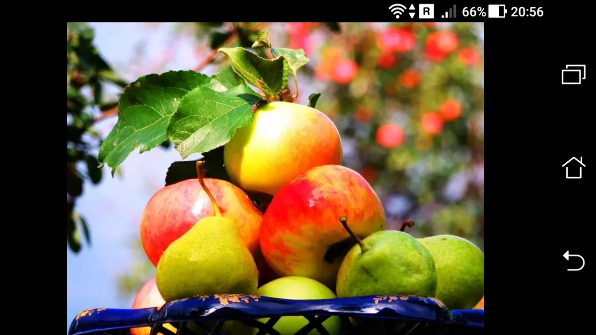 фото Ресурсное питание у человека в 4-й мерности